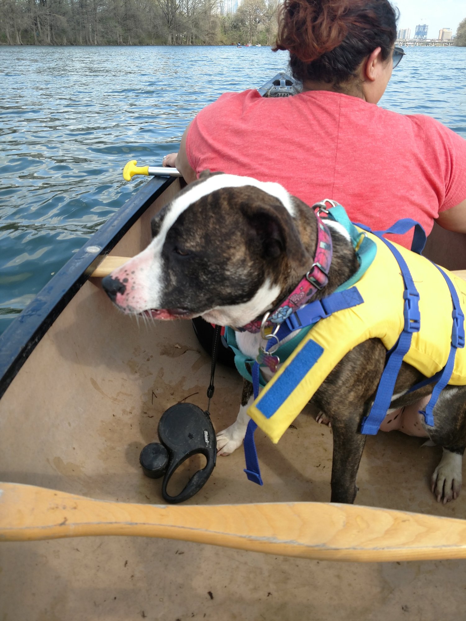 Kayaking with Miss Harley Quinn